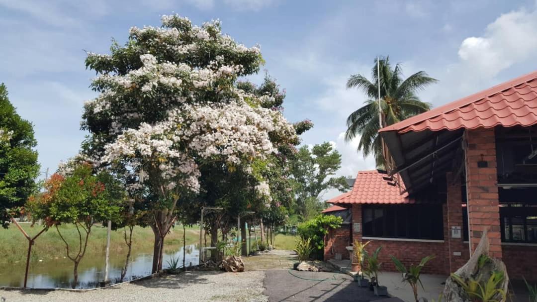 Homestay Umbai Kelana Merlimau المظهر الخارجي الصورة