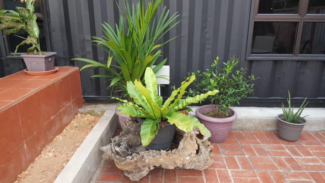 Homestay Umbai Kelana Merlimau المظهر الخارجي الصورة